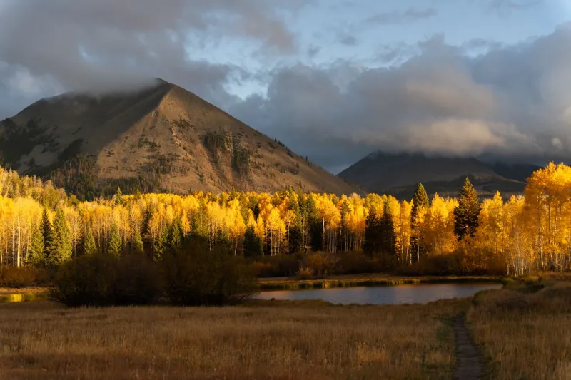 Chase the Gold: Eight Regions Where October Camping Beats Summer Every Time