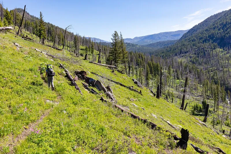Two Miles to Silence: How to Earn Your First Backcountry Campsite