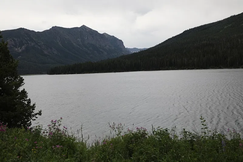 Show Up Early, Sleep Happy: How Walk-Up Campgrounds Actually Work